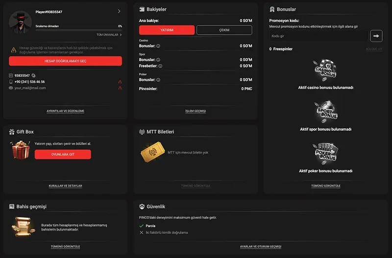 Pinco oyna kayıt ekranı